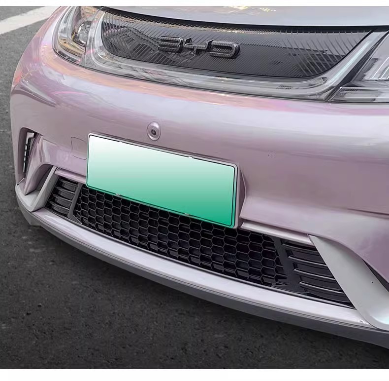 Suitable for BYD Dolphin Insect Net Middle Net New BYD Air Inlet Protective Cover Front Block Modified Black Technology