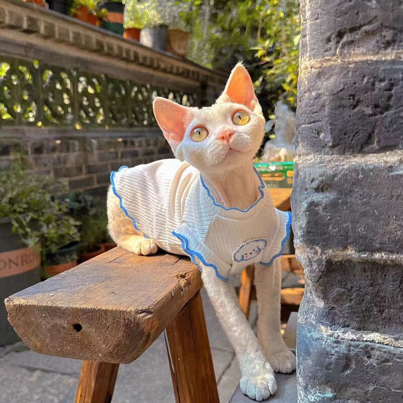 Summer Sleeveless Cat Clothes, Air-Conditioned Clothing, Anti-Shedding, Similar to Devon Rex and Sphynx Cat Vests for Pets