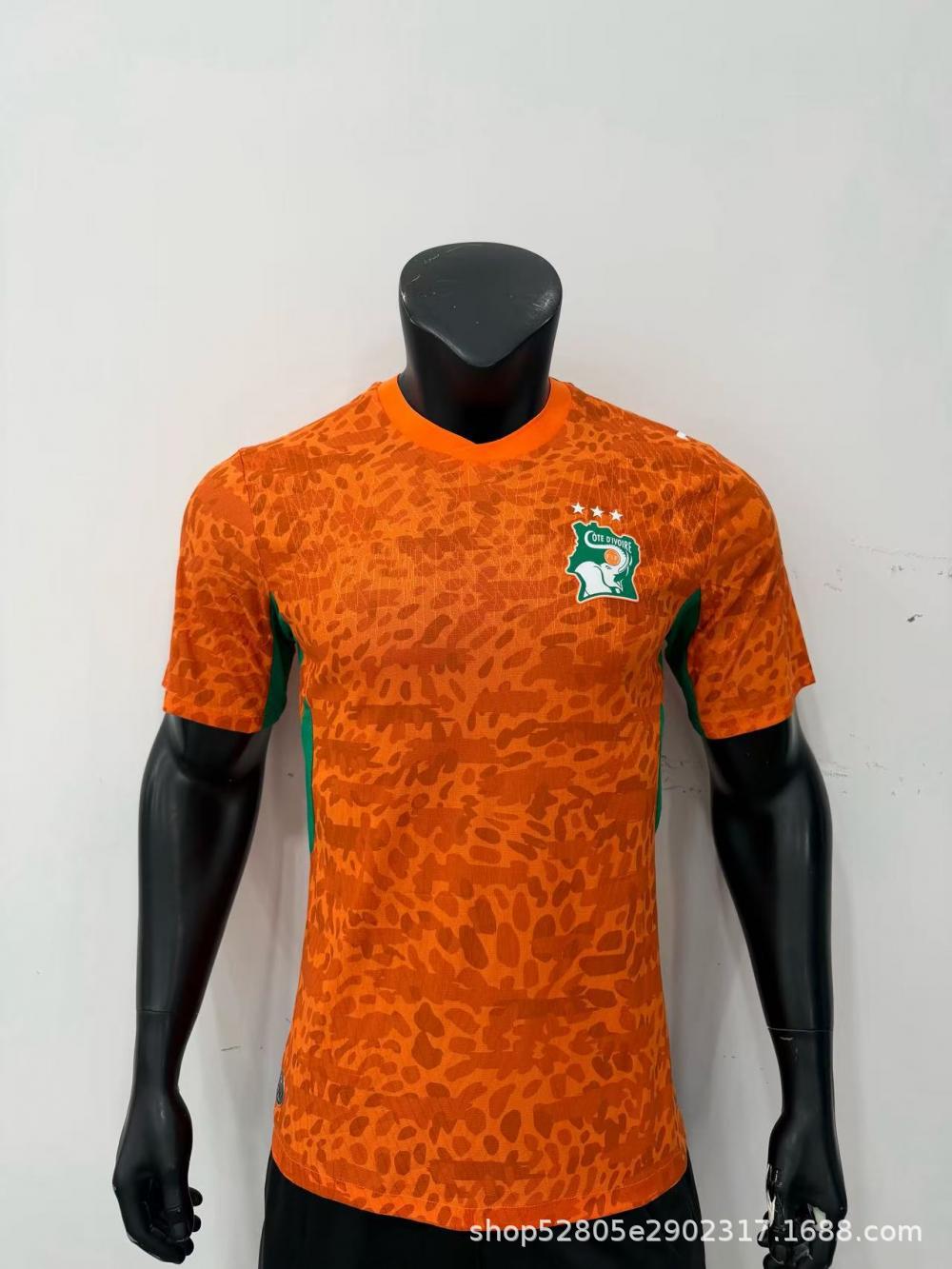 2627cote d'ivoire home court / S