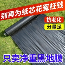 صĤSֱNrúɫĤݱ߲˲ݮ@ﱣ