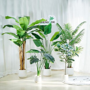 �羳���l�����ֲ���b�ɢβ���Ž����˽��쾰���Ԏ�������Gֲ