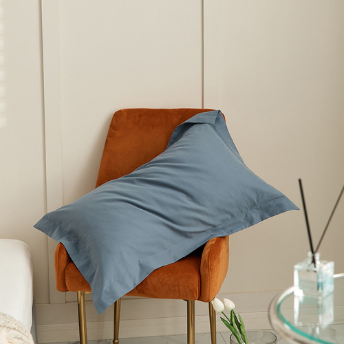 A solid-color 100% cotton pillowcase, one 100% cotton bed sheet, one bed skirt, 100 pieces of velvet for autumn and winter, a pair of 48*74cm single-sized ones