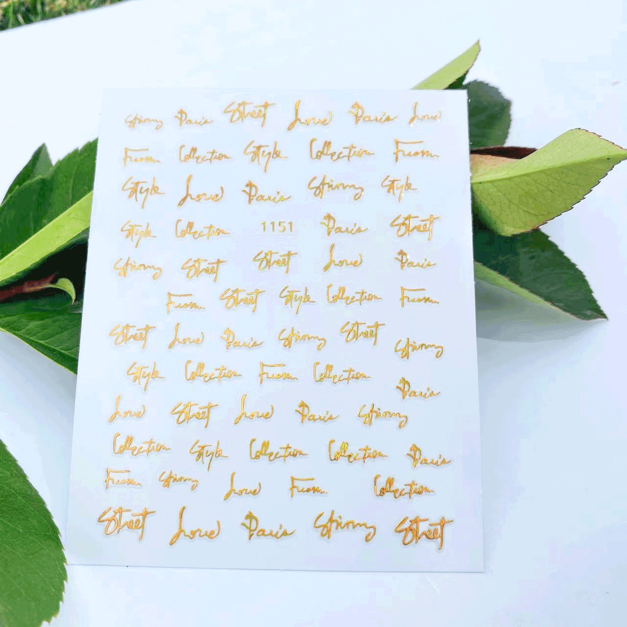 레이저 골드 영문 [인기 상품]