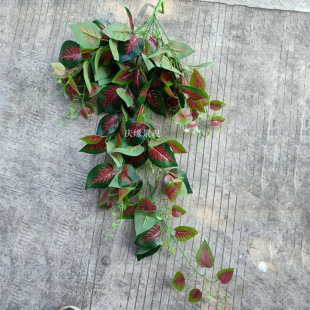 �������K�~��ˮ�~���F�~�����~���R�����X�~���T�����~���m���˜I