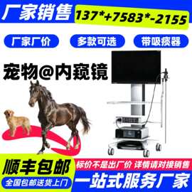 兽用胃镜机多少钱一台-新玛宠物动物内窥镜兽用胃肠镜猫犬宠物检