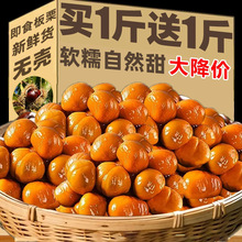 _ʳհbŴɿȥƤʈԹʳС