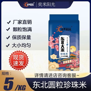 ����ꖹ�P�\з����10�ﮔ�����׈A�����ז|������5kg�b������1��