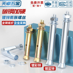 国標鉄メッキ亜鉛膨張ねじ外膨張ボルト爆発ねじ膨張管M6M8M10M12mm