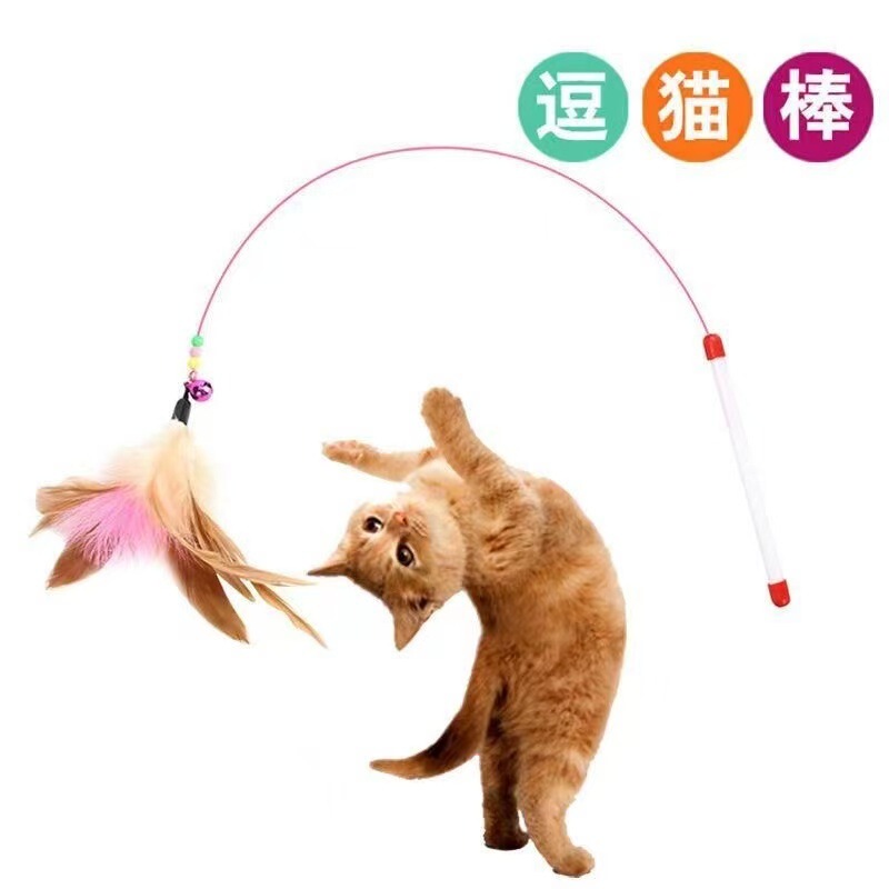 猫玩具彩盒钢丝逗猫棒羽毛铃铛逗猫杆可替换头互动自嗨耐咬猫玩具|undefined
