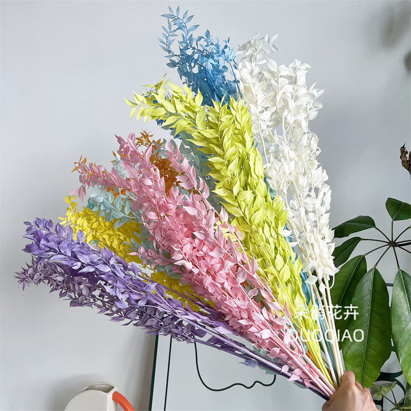 Factory direct sales of dried and preserved flowers of the lucky bamboo, wholesale for home decoration and flower arrangement, lucky bamboo glass dome DIY flower material