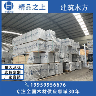 ̫�} �ɼ�����ɳ��� �ߵ͵ȼ���� �Ҿ߲��� ���b�бP�� ľ����
