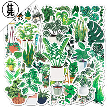 50张不侵权卡通绿植植物ins风涂鸦贴画笔记本冰箱行李箱跨境贴纸