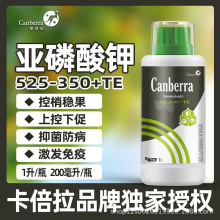 ~ˮܷʸٹ߲˿Ԛ׸r÷