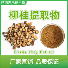 柳桂提取物 10:1 桂枝皮醛 桂皮酸 Cassia Twig Extract 1kg 起售