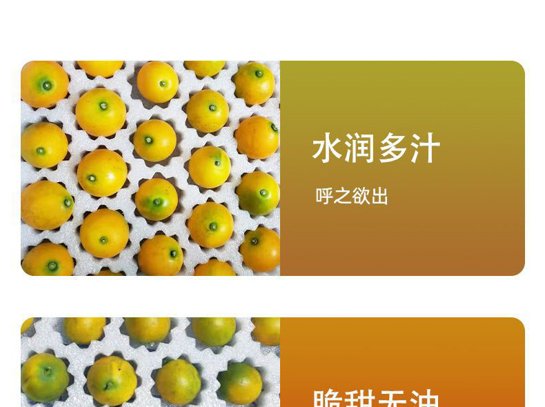 O1CN01P16Ofx1DPJBR7jjWs_!!2215