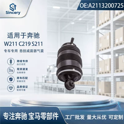 Suspension and Shock Absorber Systems S211 C219 air suspension