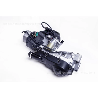 Gy6 Jinlang Engine 161/163-200Cc Built-In Reverse Gear Chain Drive Air-Cooled Oil-Cooled Balance Shaft Engine