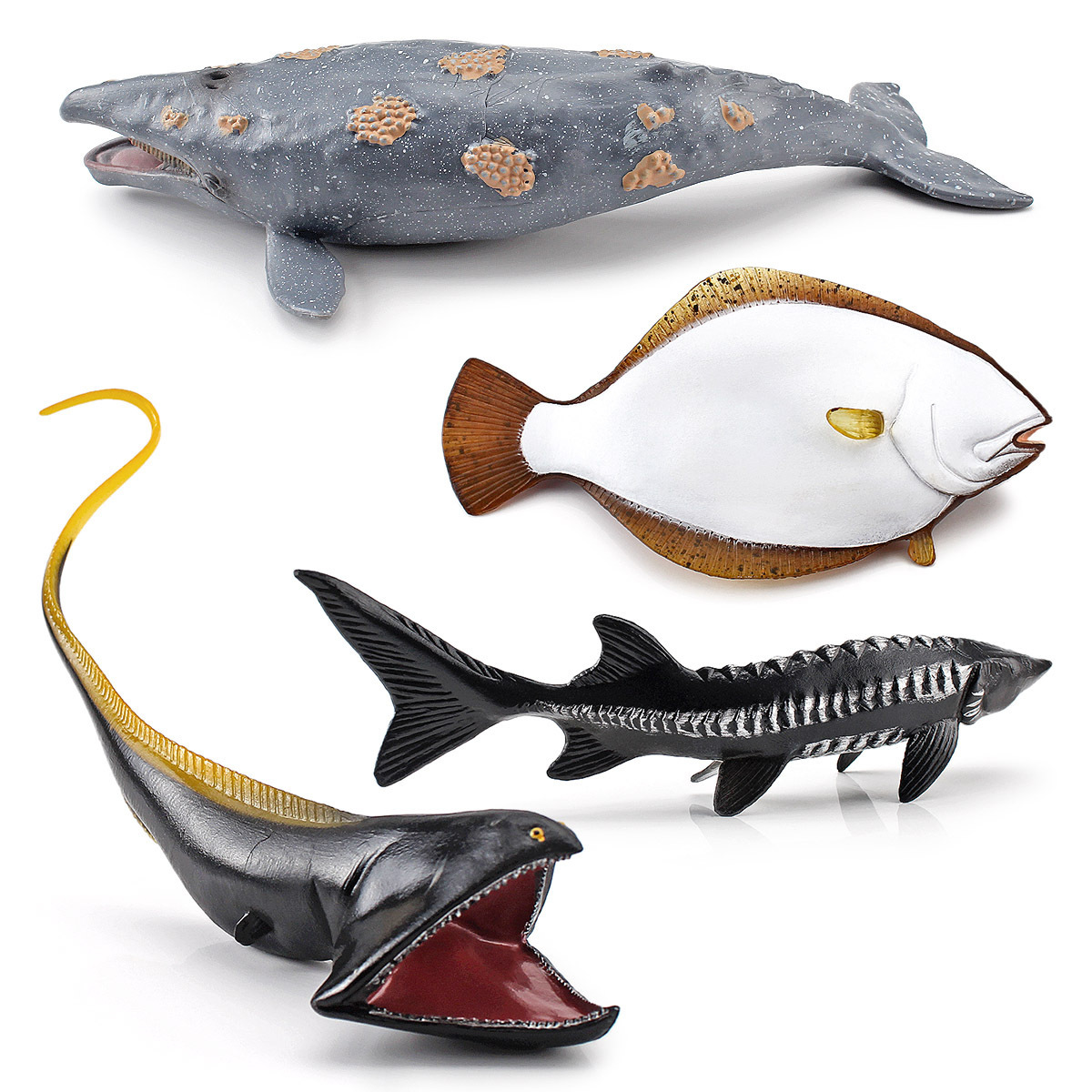 Transfronteriza exportación simulación animal marino ballena gris amplia golondrina angula platija esturión modelo decoración cognitiva juguete