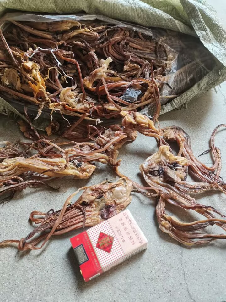 QQ图片20230113145926