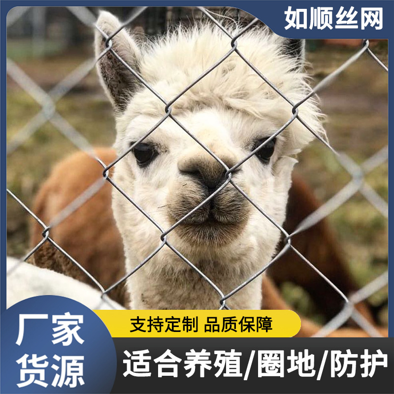 热镀锌勾花网铁丝养殖围网防护护栏牧场犬牛羊围栏镀锌耐用矿用