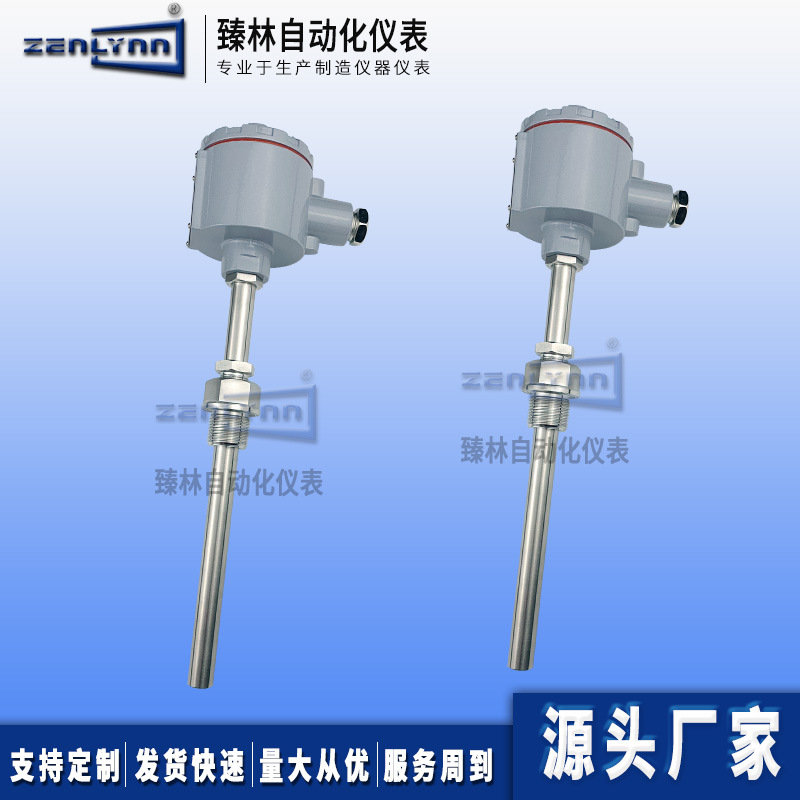 WZP-141隔爆无固定装置PT100铂热电阻BT4/防爆热电阻