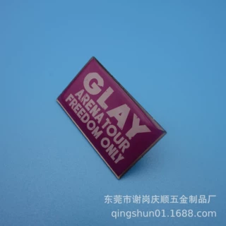 定制个性金属徽章 创意礼品不锈铁印刷胸针 卡通动漫徽章
