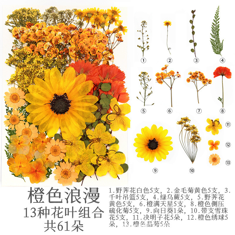 오렌지 로맨스 (61 꽃)