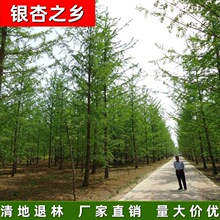 �y��֮�l �S��ֱ�N1-85���� �y�� �y�Ә� �y�ӻ���С�����е���