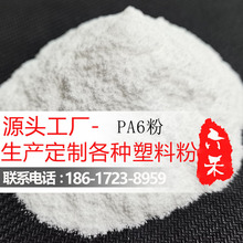 PA6����֬��ĩ 200Ŀ500Ŀ ����������΢�� ���۽��܇��T