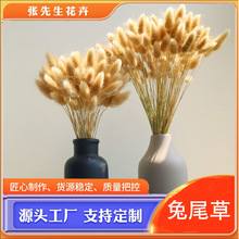 兔尾草干花厂家定制批发潘帕斯草亚马逊跨境干花束狗尾草家居装饰