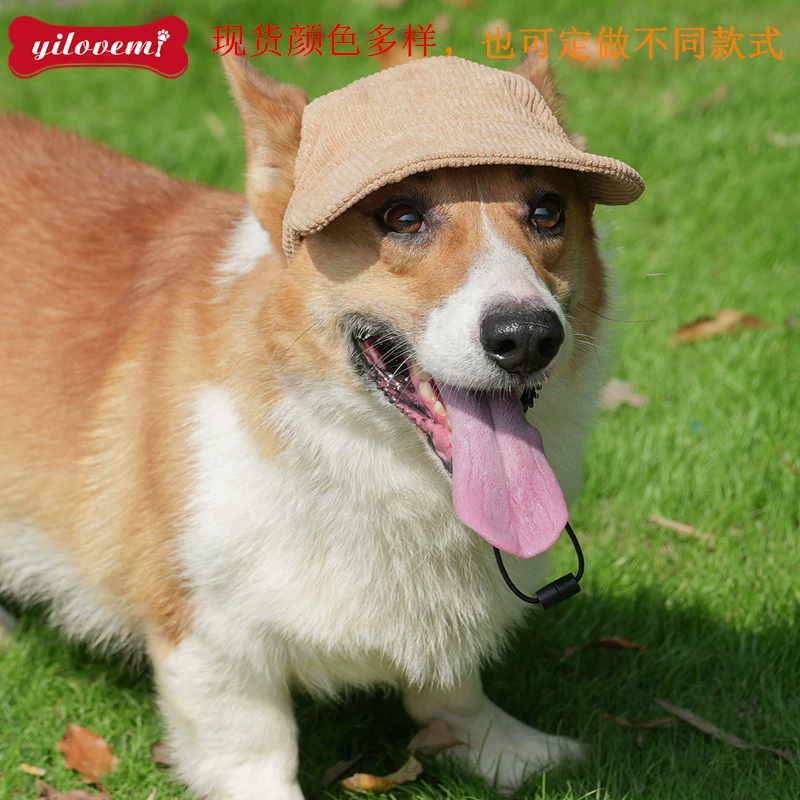 Кепки для кошек и собак Amazon Pet Supplies: вельветовая бейсболка для защиты от солнца, головной убор для прогулок на улице