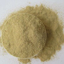 ǰ���� �в�ș�����l���� �u�_ǰ���� 1000g��