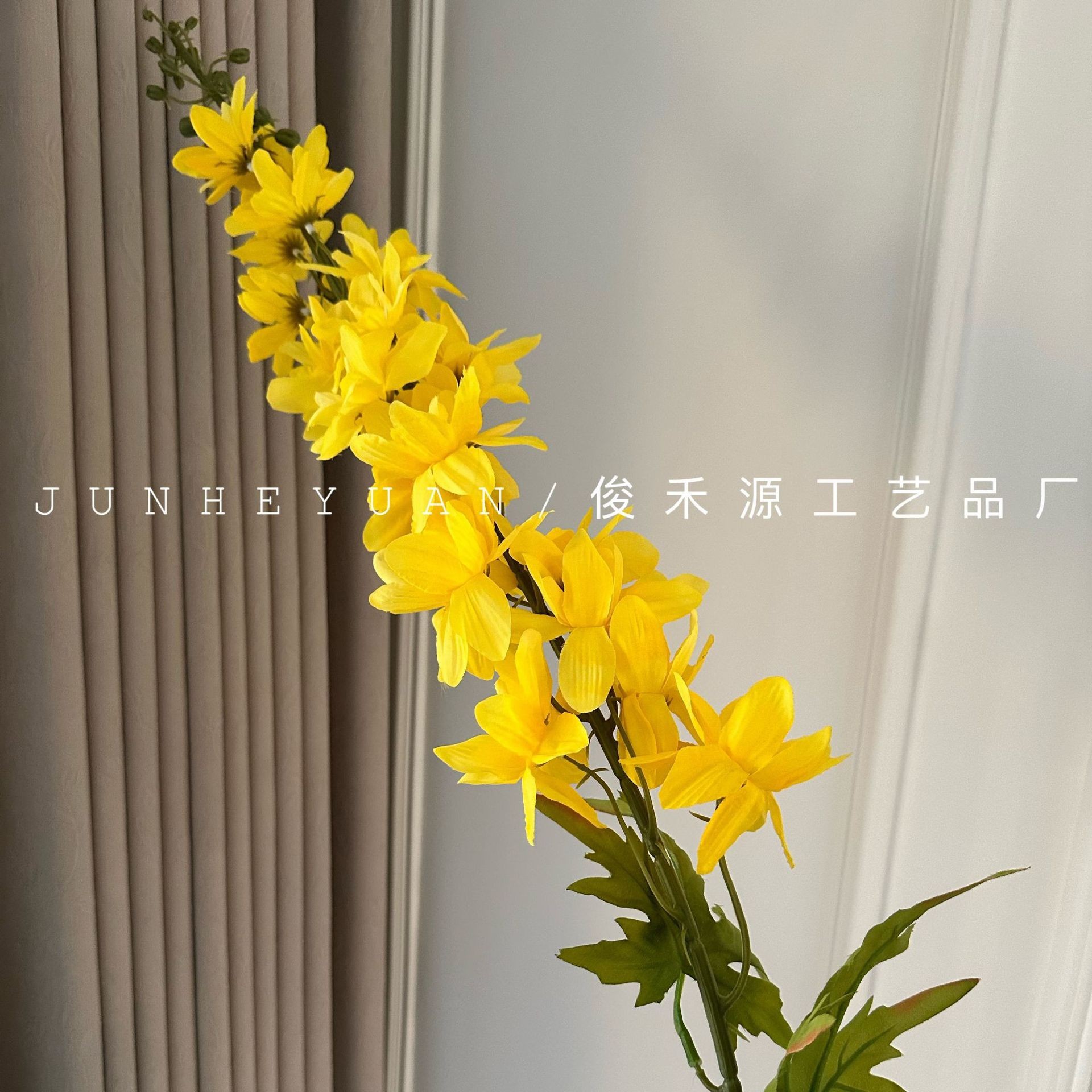 델피늄 라이페이