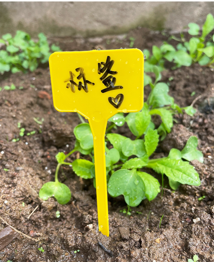 植物标签插地牌_08.jpg