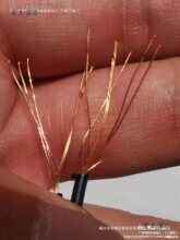 ���~��䓱��;�500��707����ͨӍ�������p�g�Ԓ������������̫��