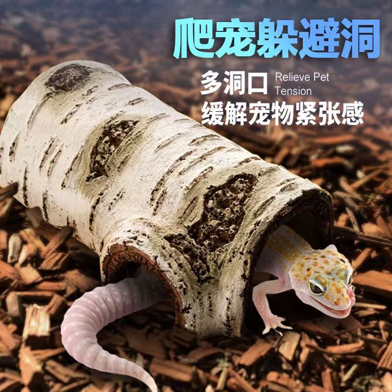 Pet trepador escondiendo agujero simulación abedul caverna tortuga terraza araña reptil roca trepador lagarto vigilante refugio