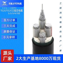 �͉���|���X��|YJLV4*240+1�����|�S���X��|���l�r��