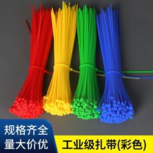 100�l�t�S�{�Gɫ���������������������χ��˽���