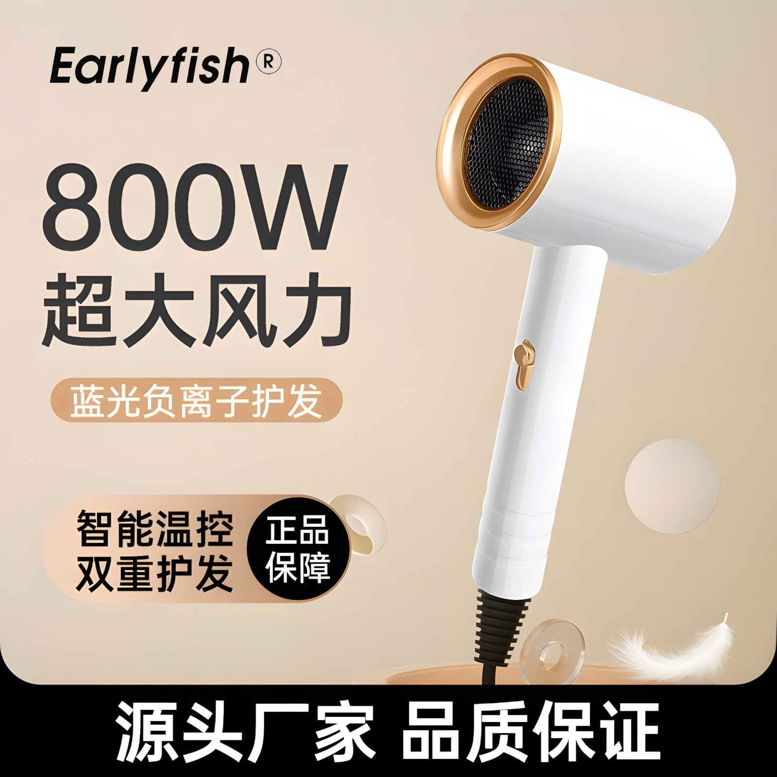 Zaoyu Hair Dryer for Home Use, Negative Ion Hair Care, Quick-Drying, Strong Wind, Electric Hair Dryer, Cross-Border Wholesale, Constant Temperature Hair Care