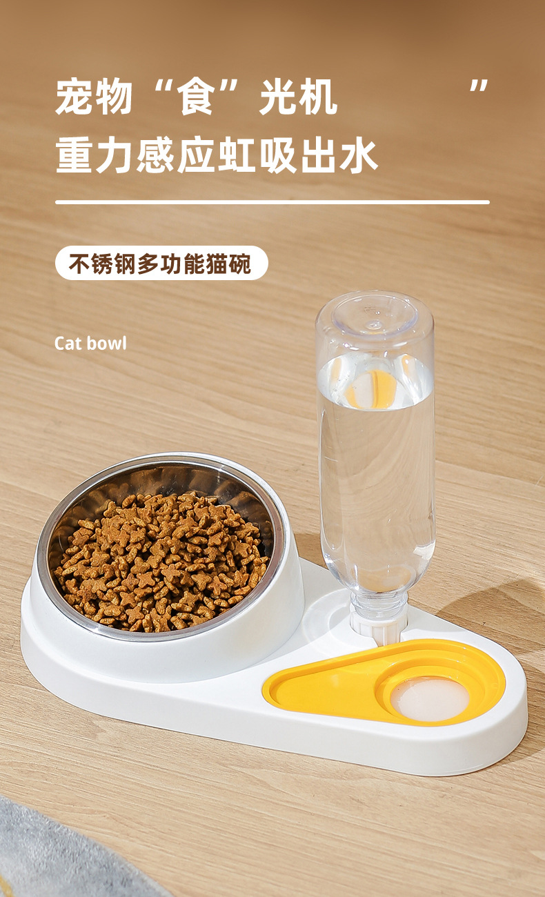 猫碗_01.jpg