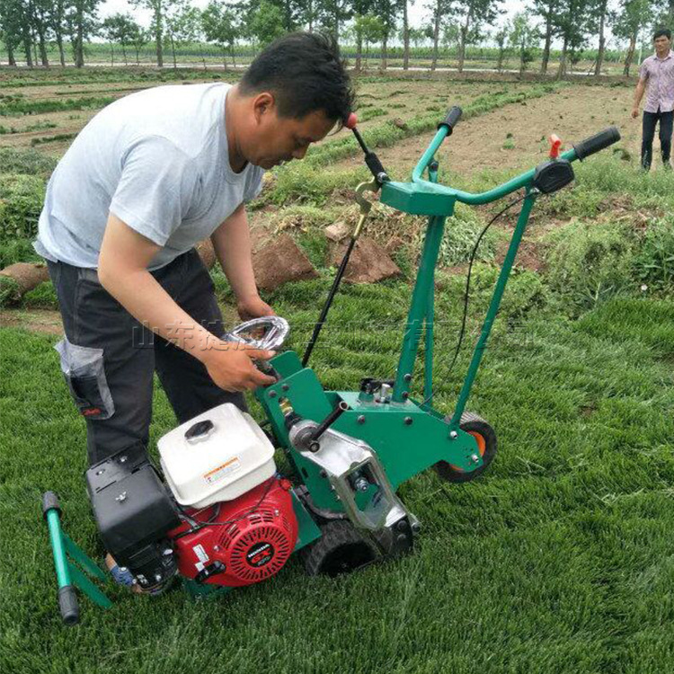 马尼拉高羊茅草铲草机 9马力草坪移植机 小型手扶式园林起草皮机