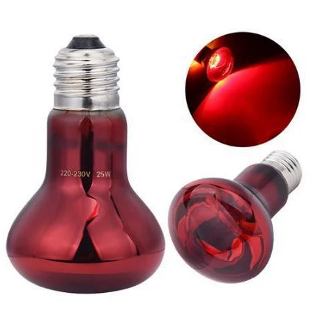 Инфракрасная лампа для купания домашних животных прожектор лампа нагревательная лампа для рептилий домашнее животное красное стекло AC220V инкубационные яйца