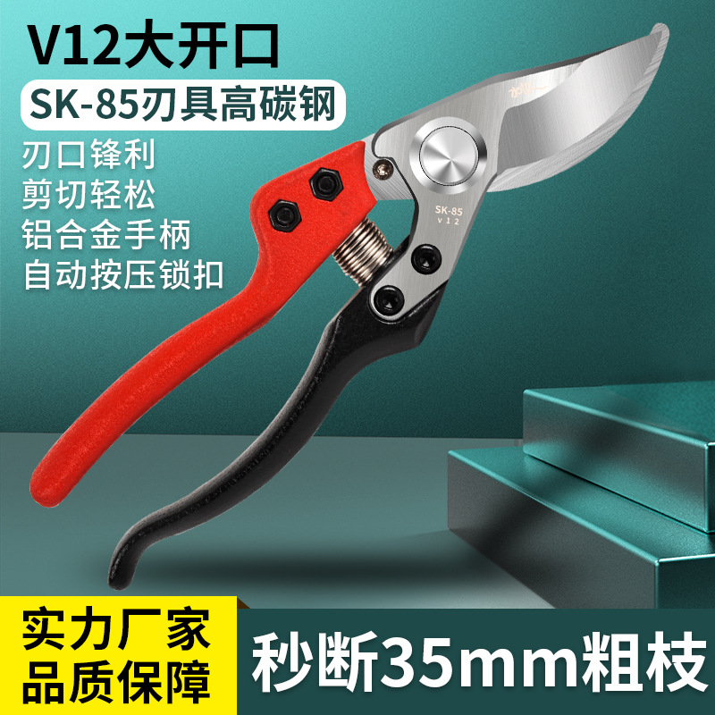 SK5钢大开口园林剪果枝剪绿化工具花木剪苗圃树枝剪园艺省力枝剪