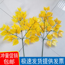 ט~Ř~t~yӘ֦@ˇGֲ@ֽɻb