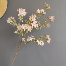 �������χ�ɫ���㻨�m���� ��ʽ���s�ҾӘӰ��g��c�OӋ�b����l