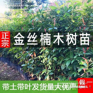 ���F��骳�������Ĵ�С�~��z�ľһ���Gľ�޽������纣�ω�����