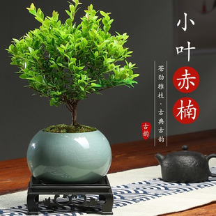 �ļ�ͨ���Ϙ������辰����ֲ���҃Ȼ����k��������С�Gֲ���B�ļ�