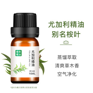 ���~���{���~���ȼ������͆η�10ML�沿�o�w�Ҿ���޹�������Ħ