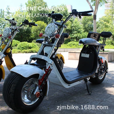 Electric Vehicle, Elektrikli motosikletlər