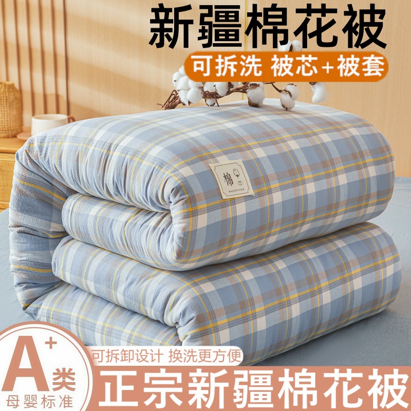 Class a Removable and Washable Cotton Quilt, Winter Quilt, Spring & Fall Quilt, Home Student Dormitory Quilt, Air-Conditioned Quilt, Universal for All Seasons